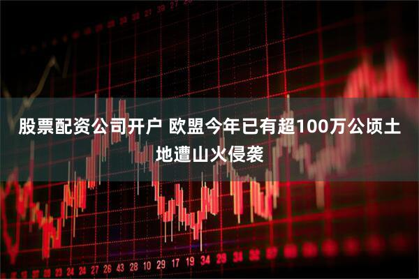股票配资公司开户 欧盟今年已有超100万公顷土地遭山火侵袭